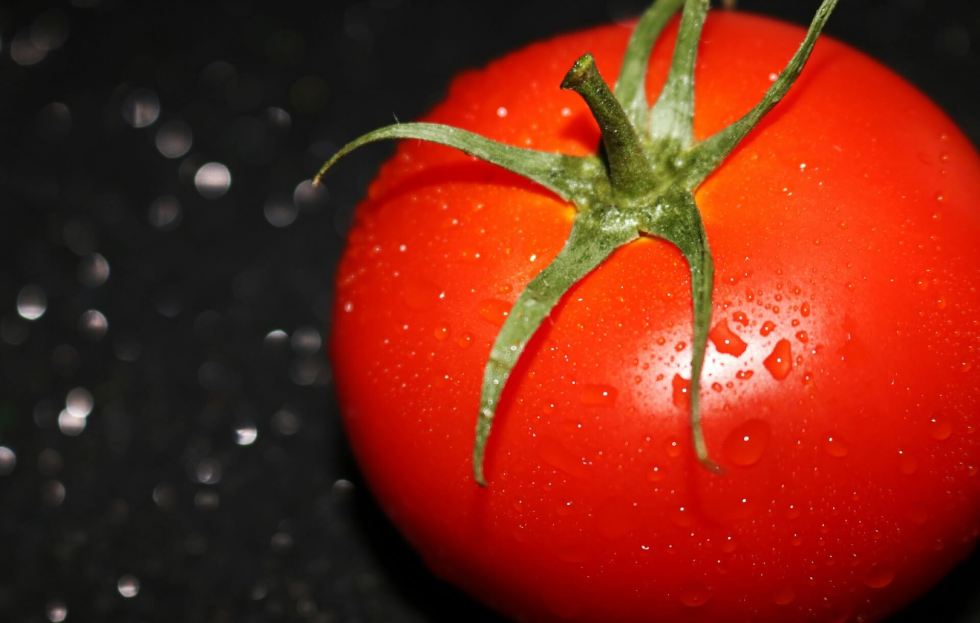crispr tomatoes
